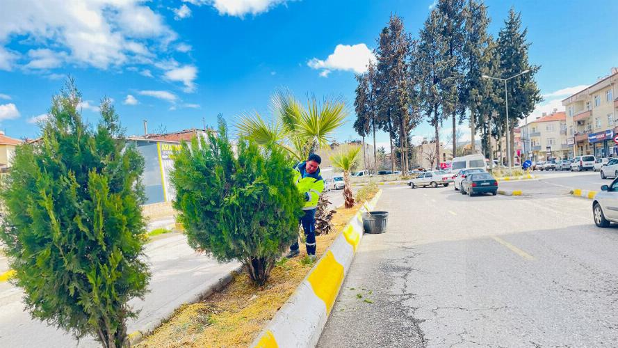 Adıyaman Belediyemizden ağaçlara bahar bakımı   
