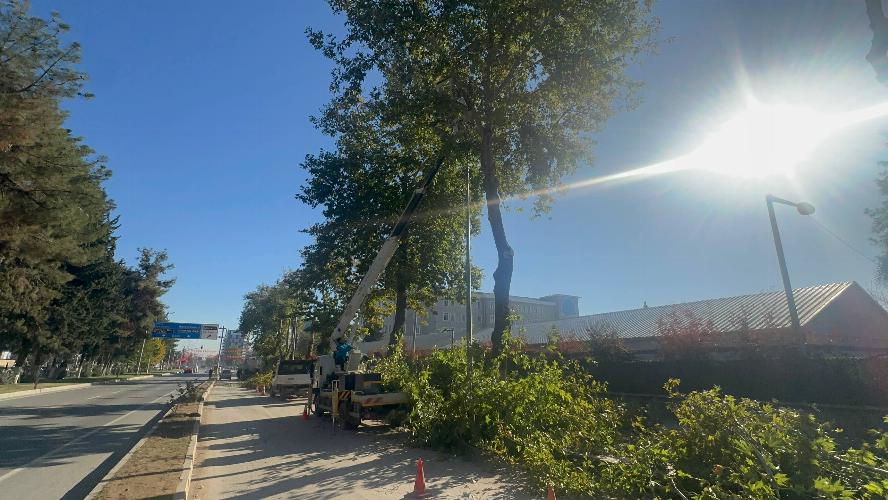 Adıyaman Belediyemizden kış öncesi budama çalışması