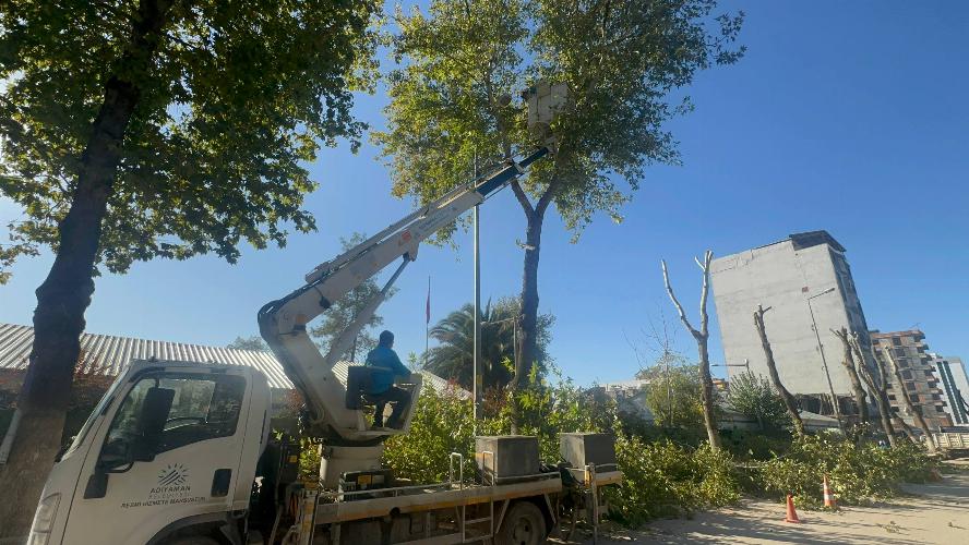 Adıyaman Belediyemizden kış öncesi budama çalışması