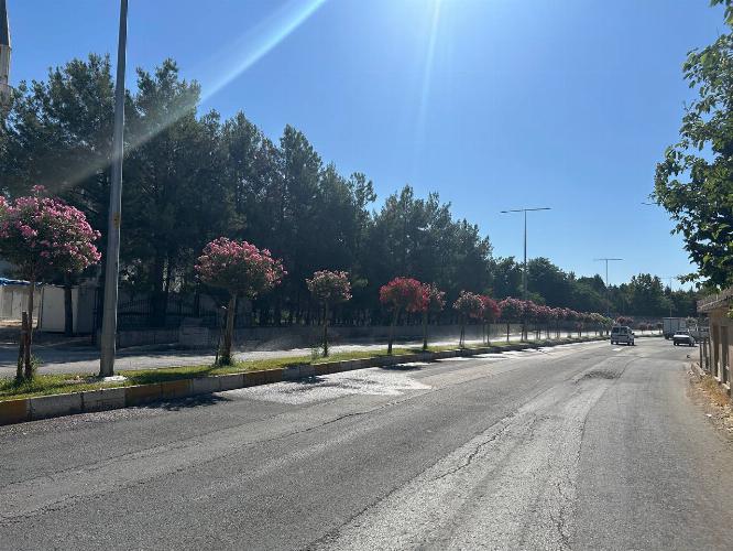 Yeşil Adıyaman için dev hamle   