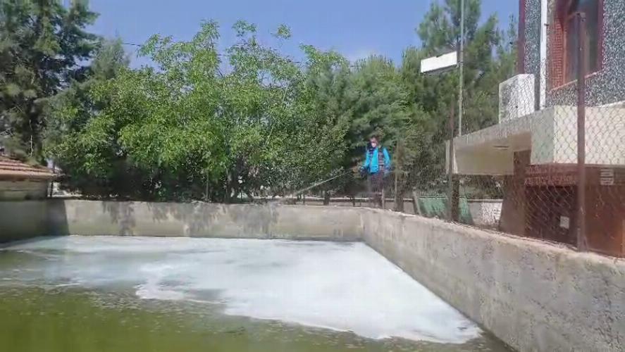Adıyaman Belediyemiz larva mücadelesini yoğunlaştırdı   