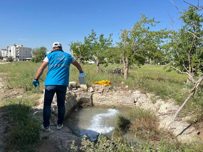 Adıyaman Belediyemizden Yaz Öncesi Uçkunla Mücadele Seferberliği