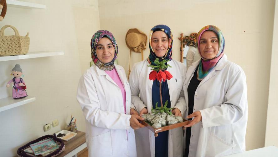 Kursiyer Olarak Başladılar, Usta Öğretici Oldular