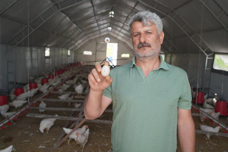Adıyaman Belediyemizin Kümes Hayvancılığı Tesisi’nde üretim başladı